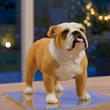 Custom Bulldog Figurine From Photo-Personalized Dog Memorial Statue-Pet Loss Keepsake-Bulldog Sculpture On Wooden Base