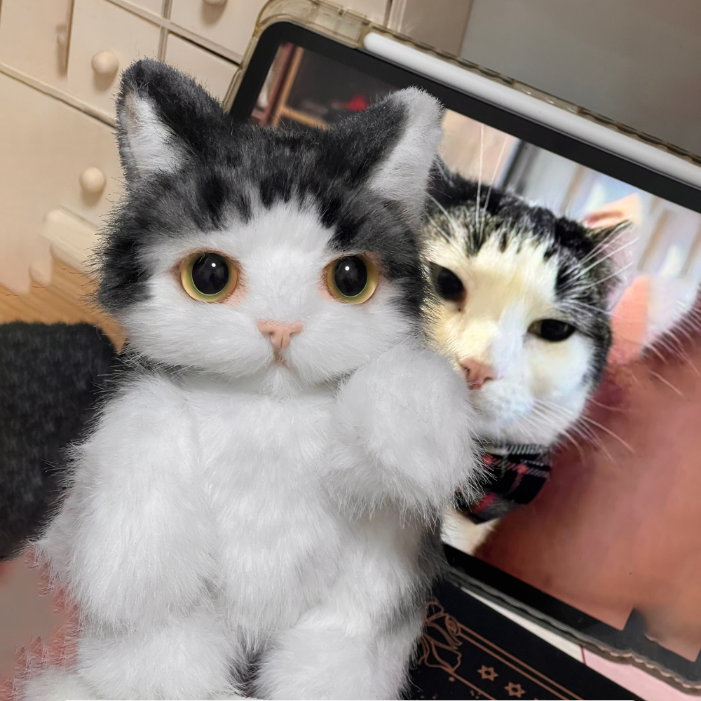 Custom Realistic Fluffy Pet Doll Plush – Exact Replica of Your Cat/Dog